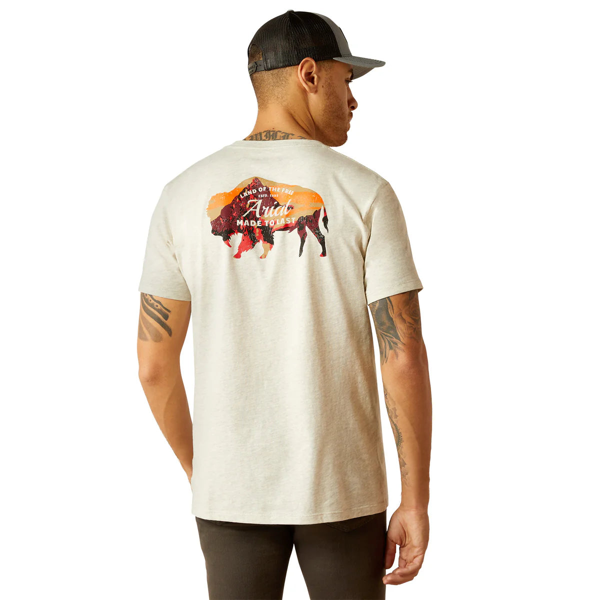 Ariat Men's Bison Landscape Tee Oatmeal Heather