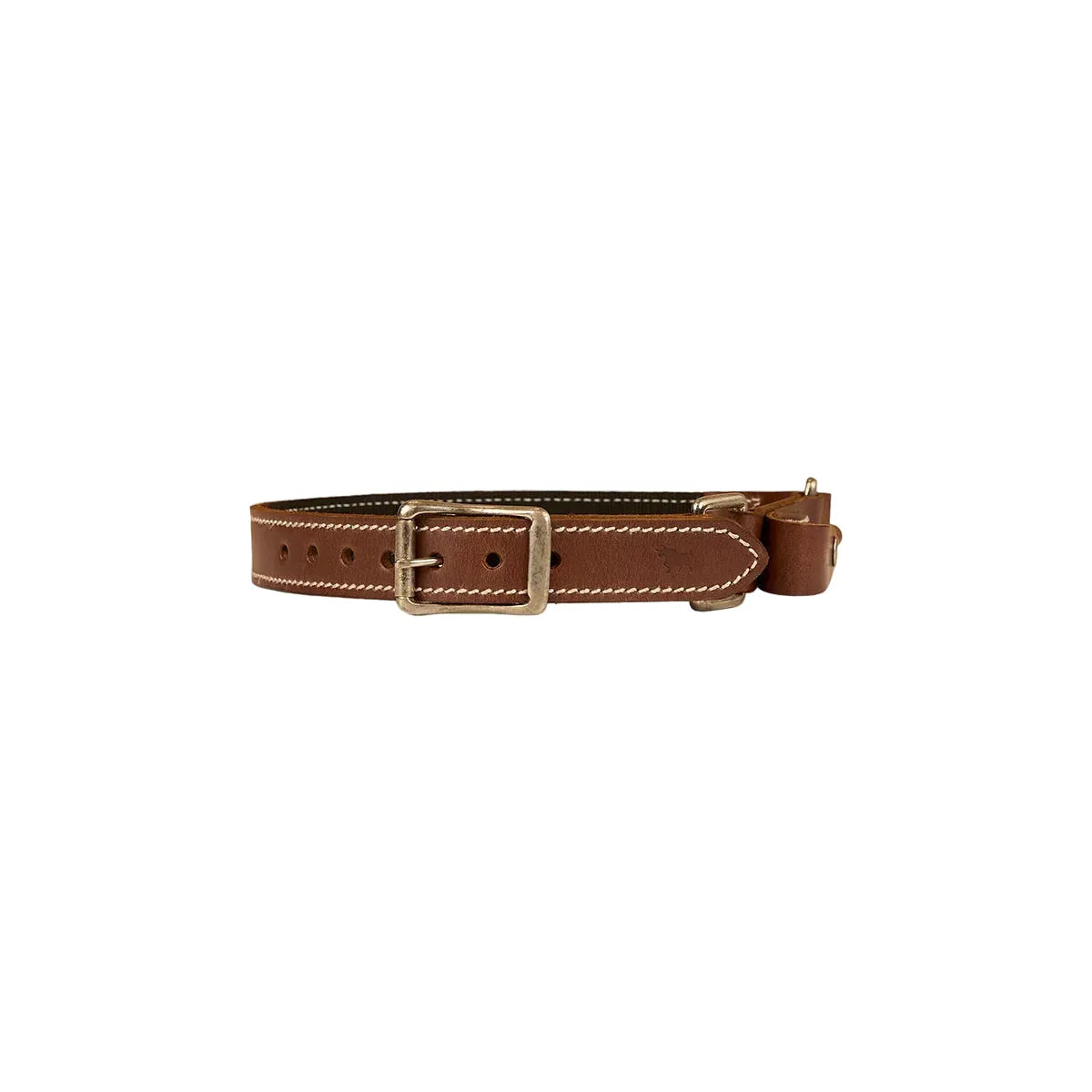 Brown leather dog collar on a white background