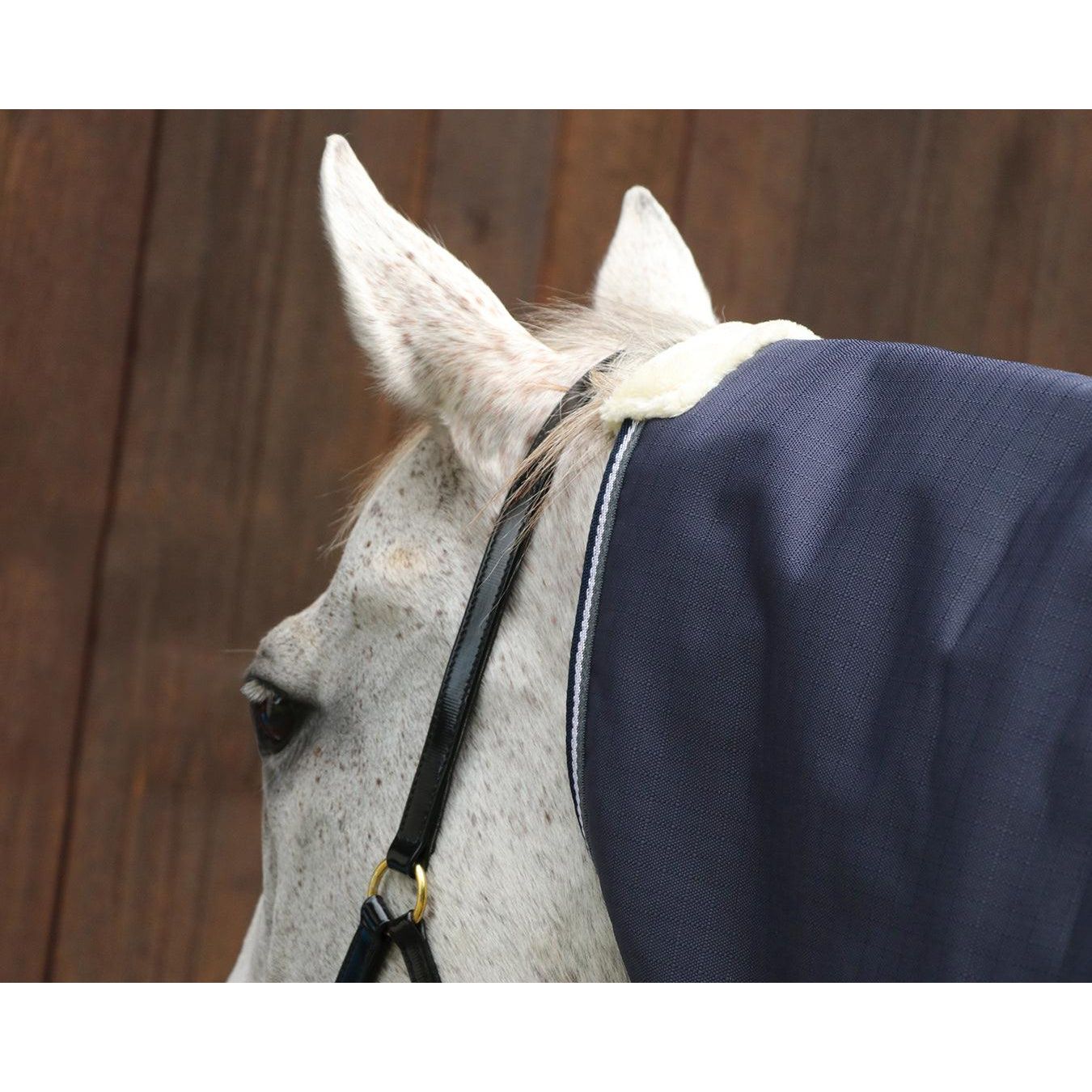 Kozy 1200D 200g Fill Horse Winter Rug Combo – Navy