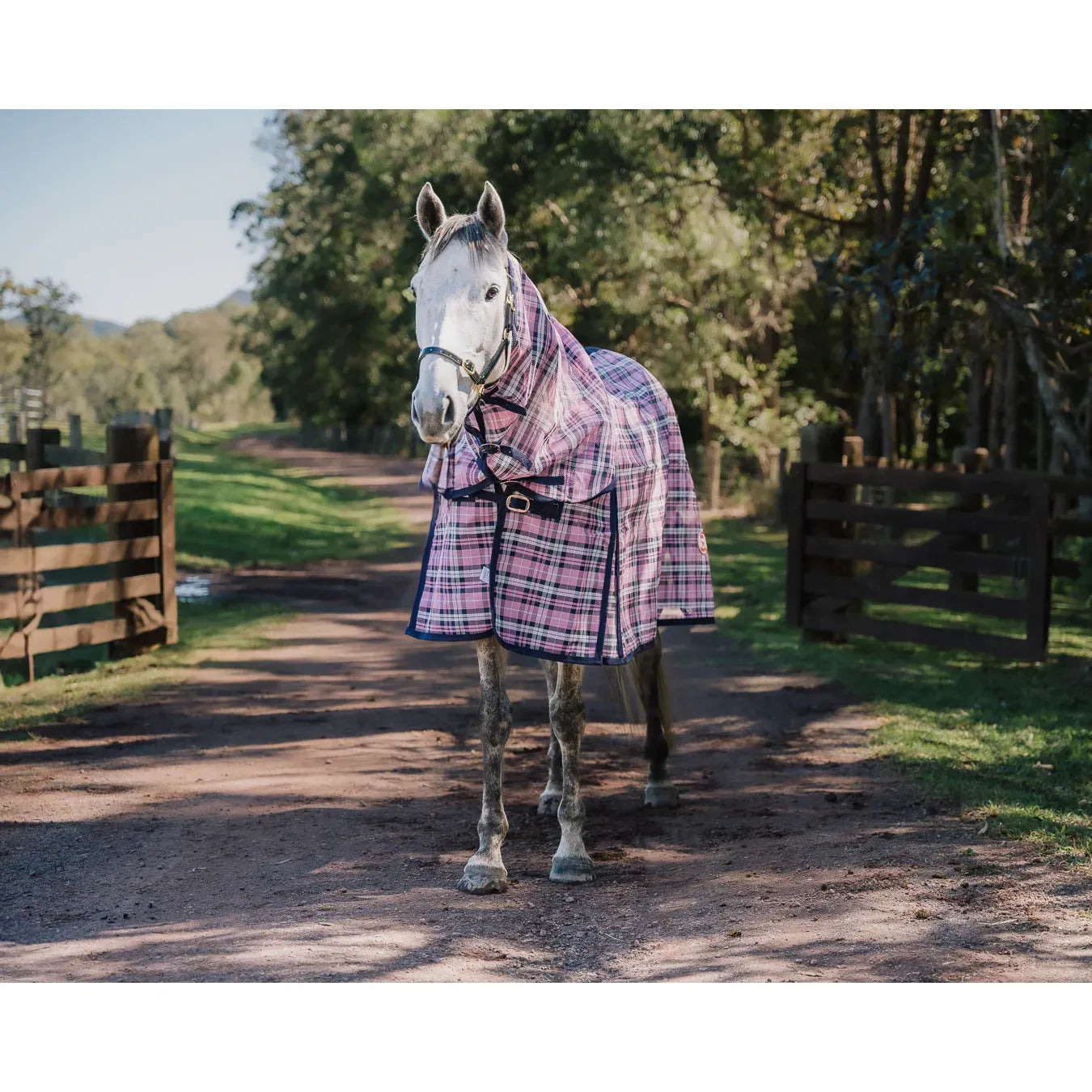 Kool Master PVC Shade Mesh Horse Rug Combo – Pink/Navy