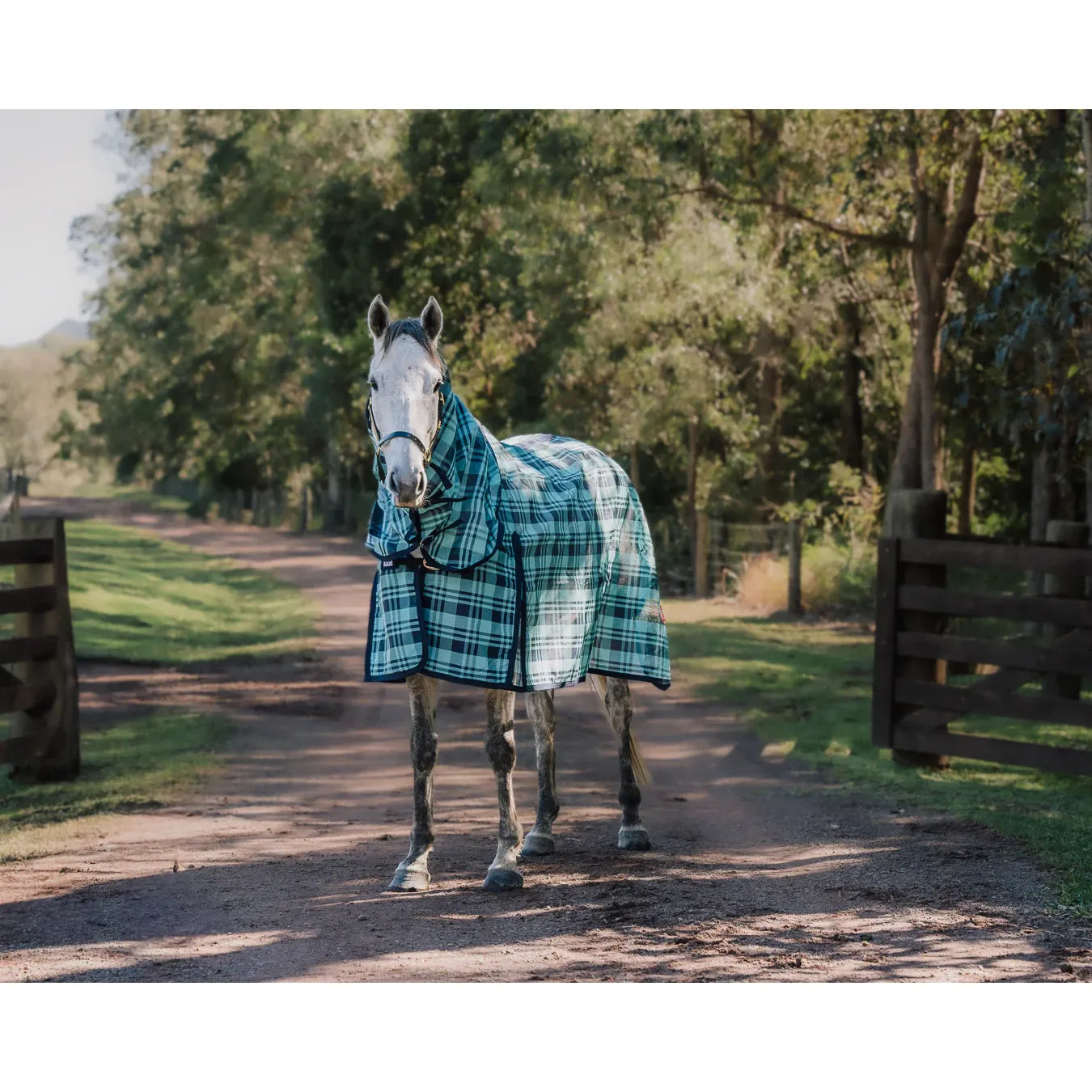 Kool Master PVC Shade Mesh Horse Rug Combo – Turquoise/Navy