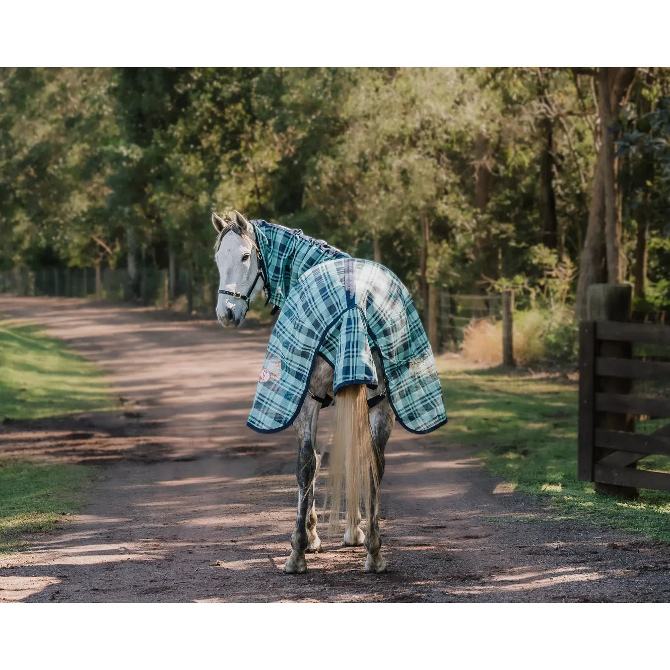 Kool Master PVC Shade Mesh Horse Rug Combo – Turquoise/Navy