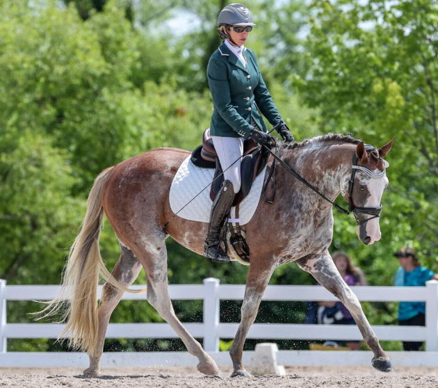 Breyer Traditional Full Moon Rising