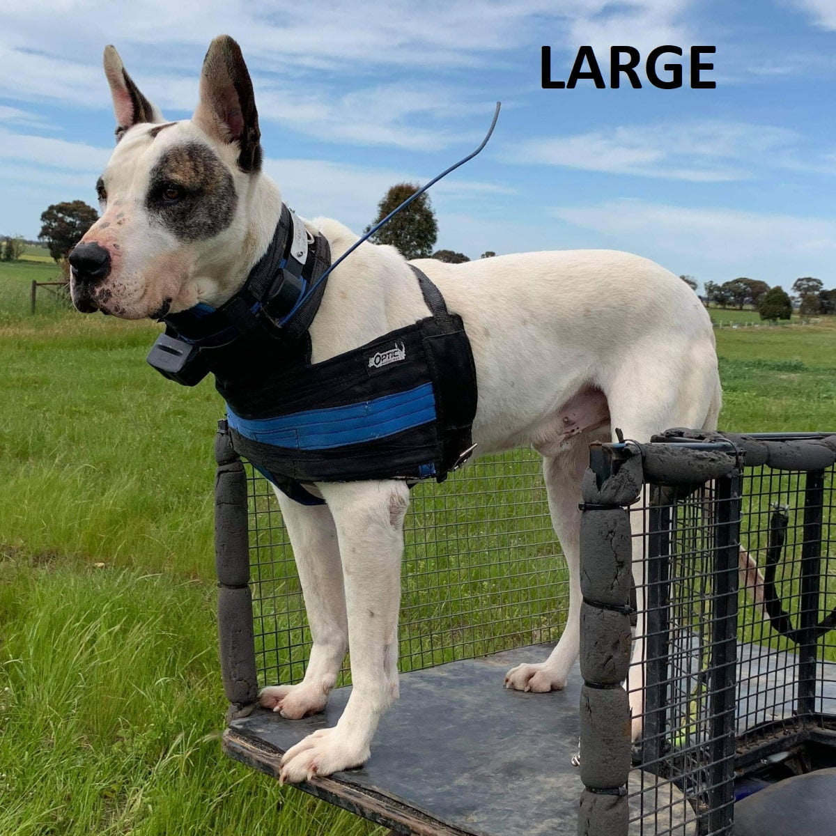 Optic Hunting Pig Dog Breast Plate Protection Vest