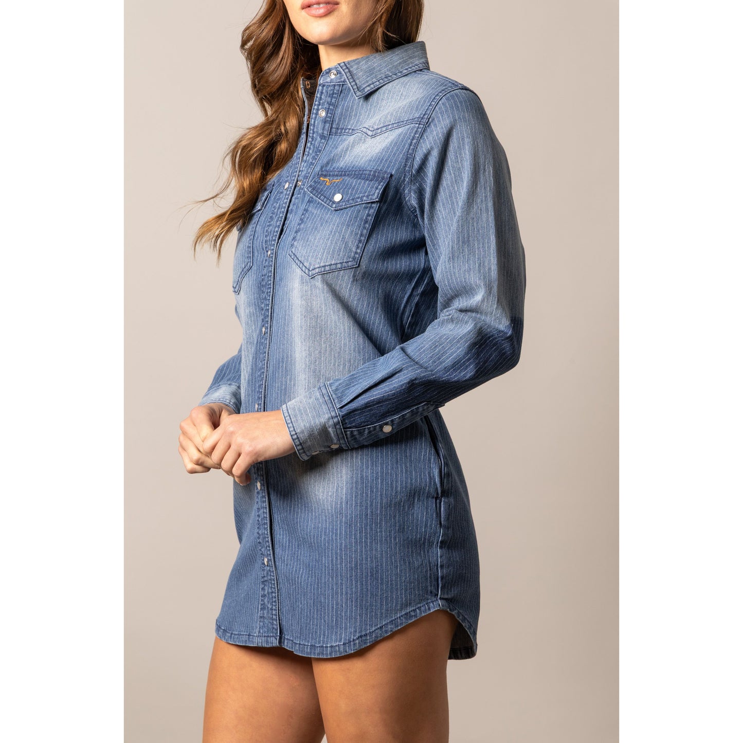 Kimes Ranch Womens Jordi Denim Dress - Mini Stripe